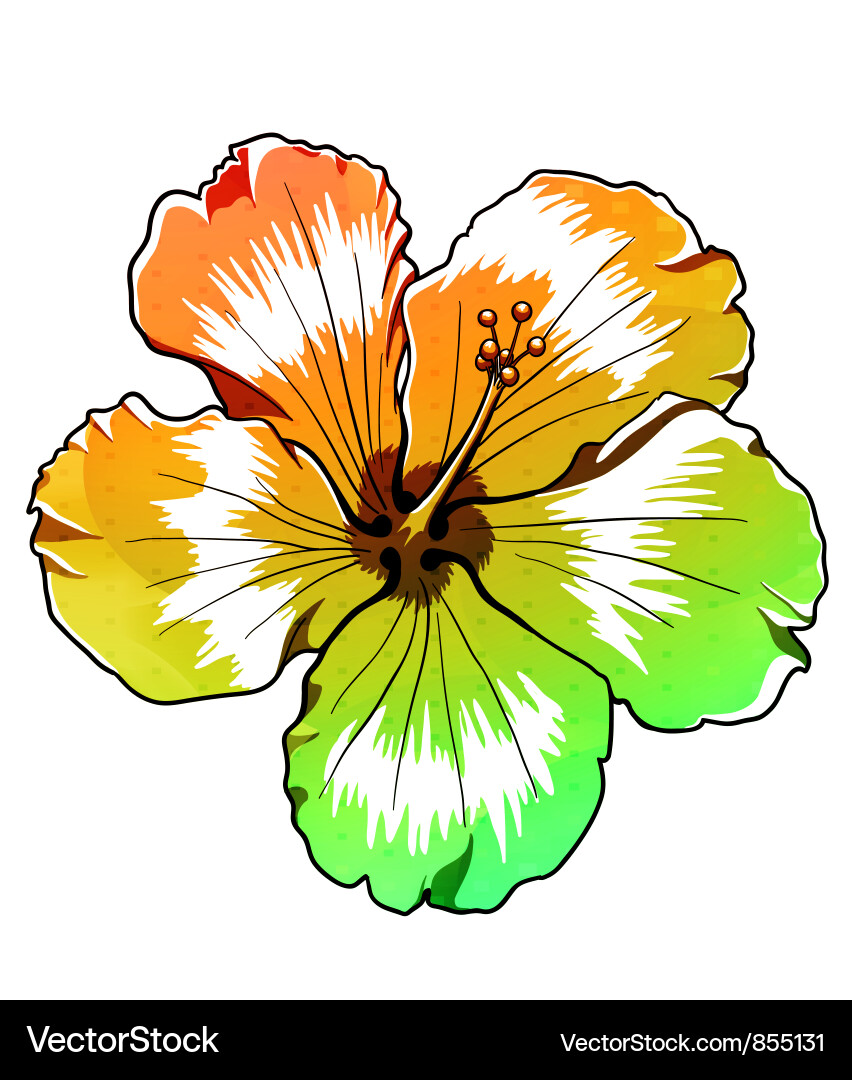 Vibrant Hibiscus Abstract Vektorbild