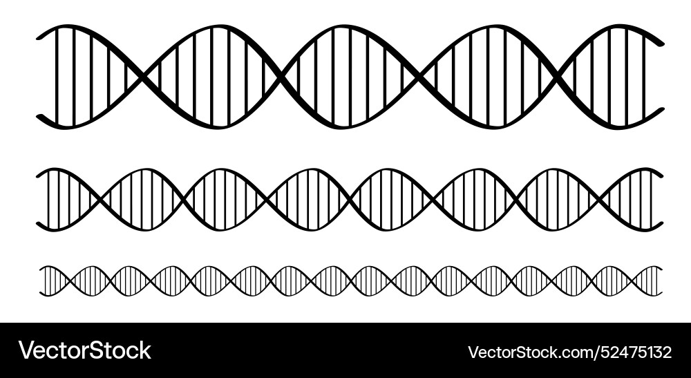 Dna break or broken string double helix vector image