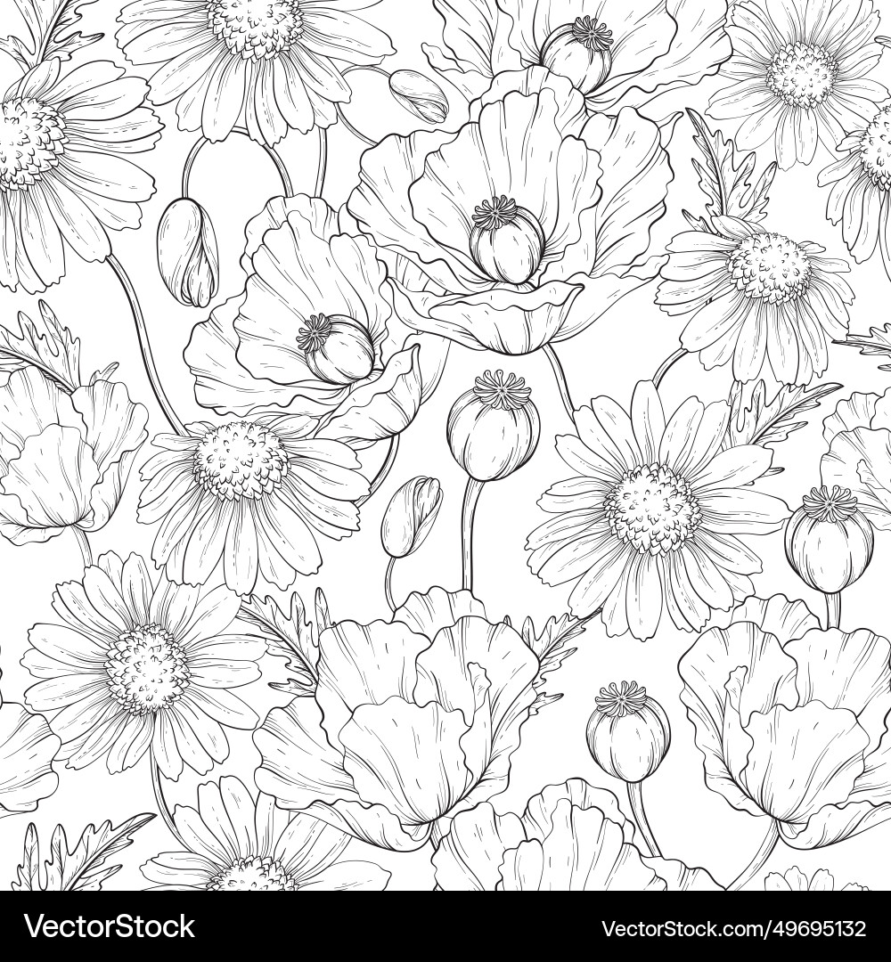Outline pattern with poppy and chamomile Vector Image