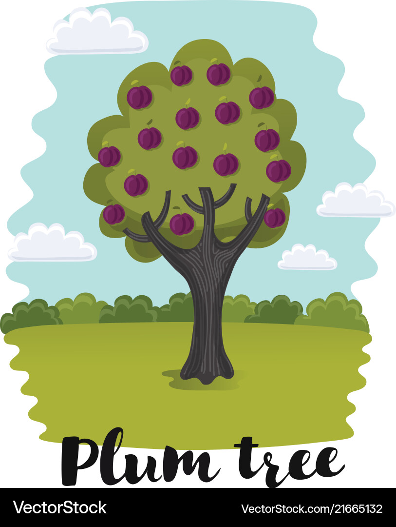 Plum tree fruit Plum tree fruit vector image
