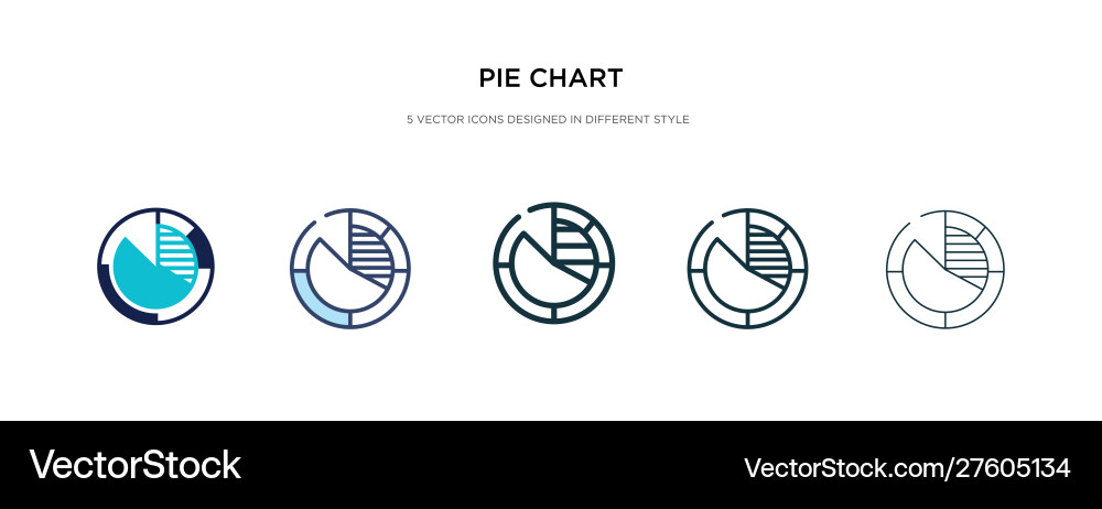 Pie chart icon in different style two colored vector image