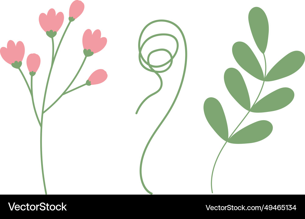 Set of 3 spring botanical design elements Set of 3 spring botanical design elements vector image