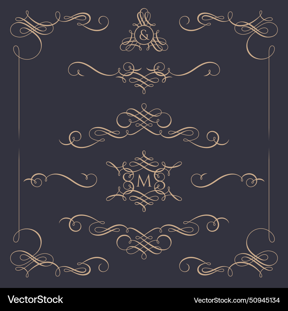 Set of calligraphic elements Set of calligraphic elements vector image