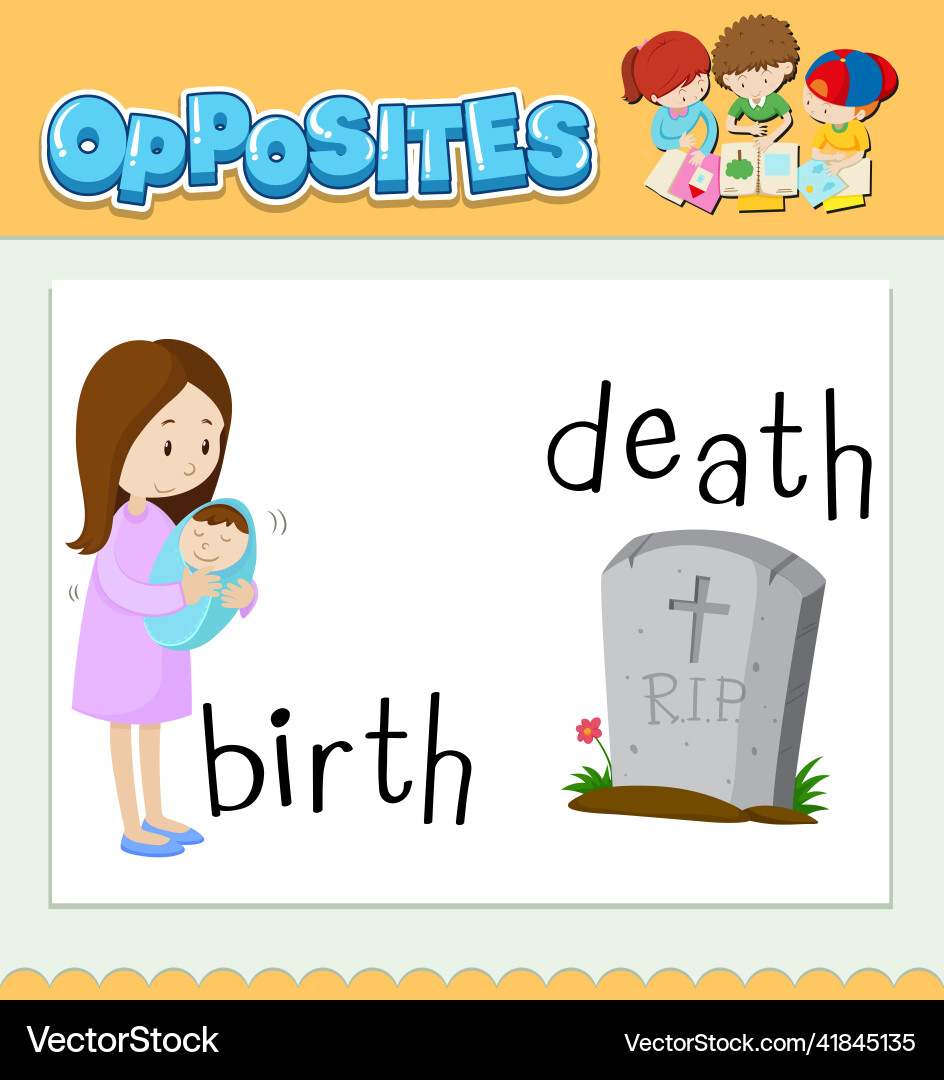 Birth and Death Concepts - Visual Learning Vector Image
