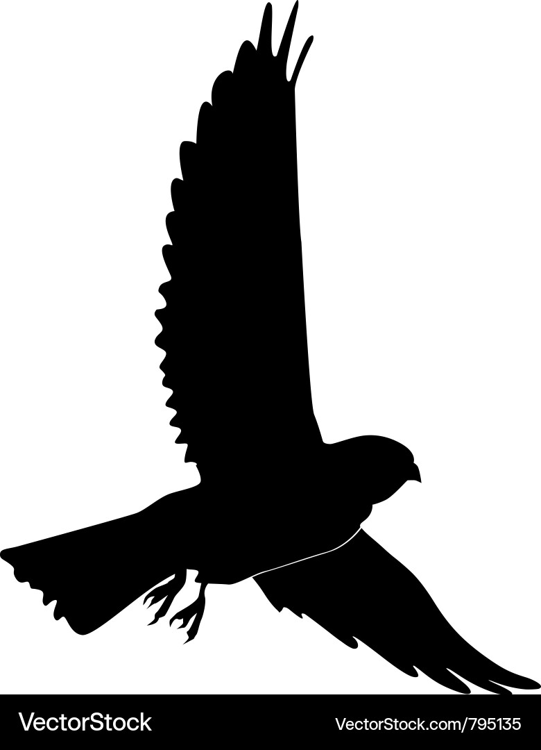 Kestrel Silhouette in Flight Vector Image