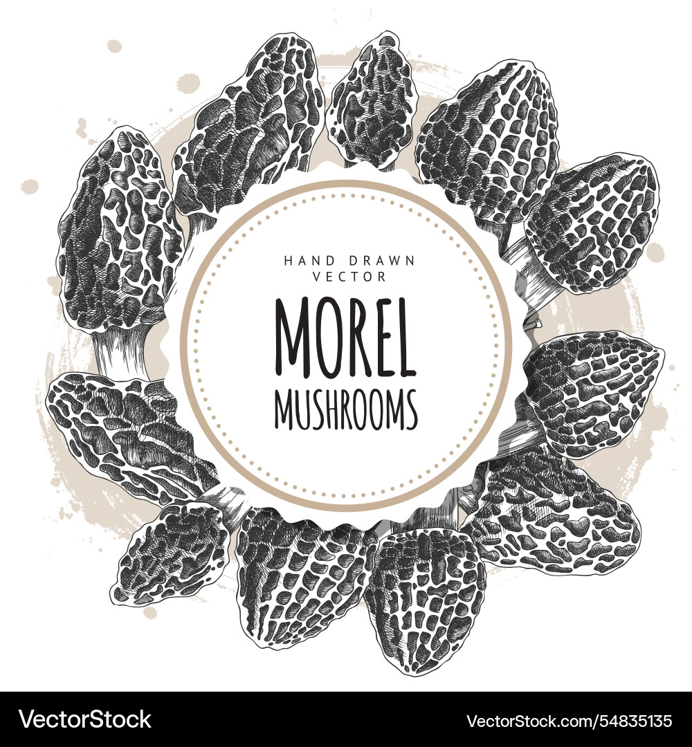 Round frame with morel mushrooms on the edges Vector Image