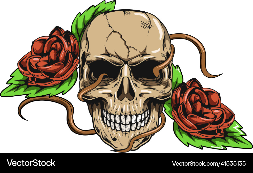 Skull with Flowers Vector Image