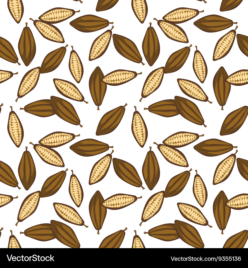 Cocoa beans seamless pattern chocolate background vector image