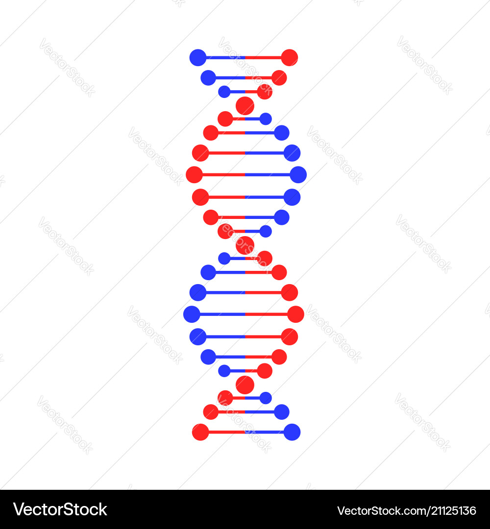 Dna strand symbol isolated on white background Vector Image
