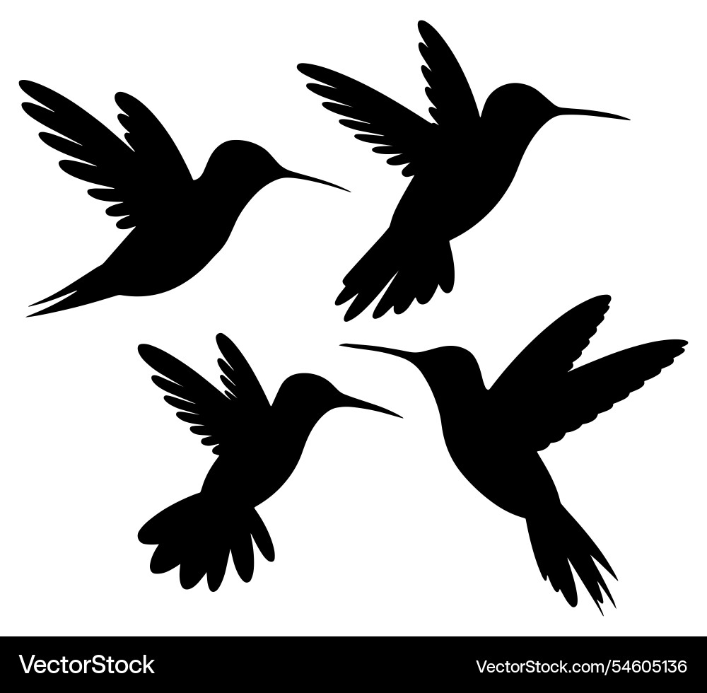 Hummingbird Silhouettes vector image