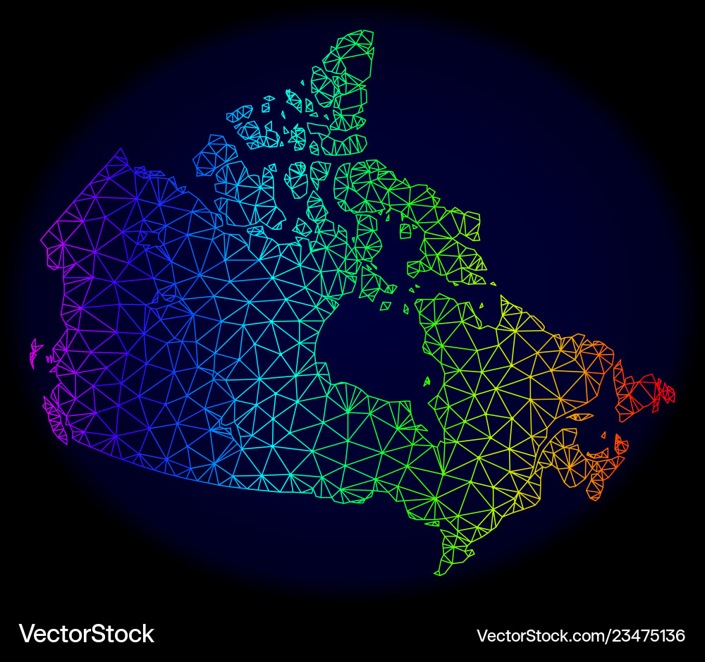 Polygonal network spectrum mesh map Polygonal network spectrum mesh map vector image