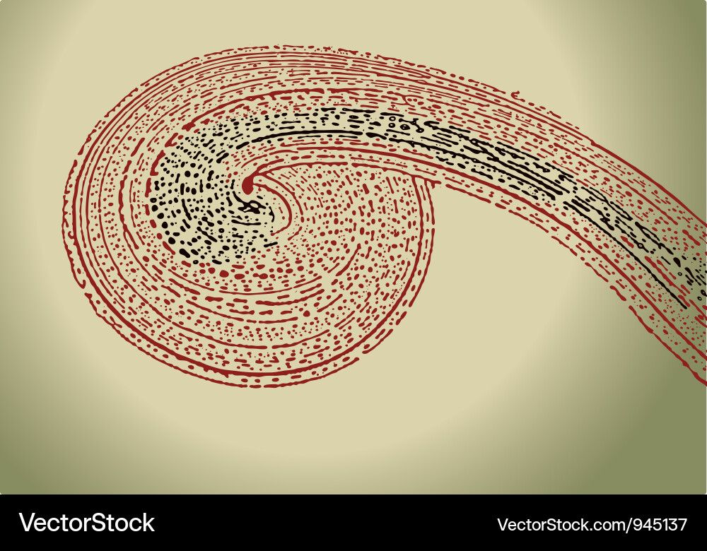 Abstract Paint Curl vector image