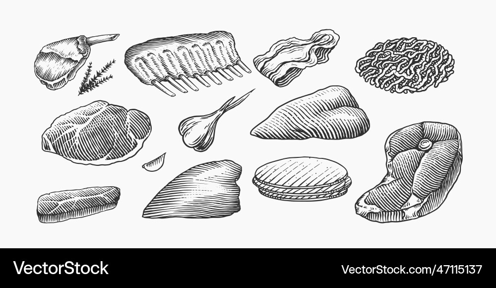 Red meat products veal beef ribs bacon jamon Red meat products veal beef ribs bacon jamon vector image