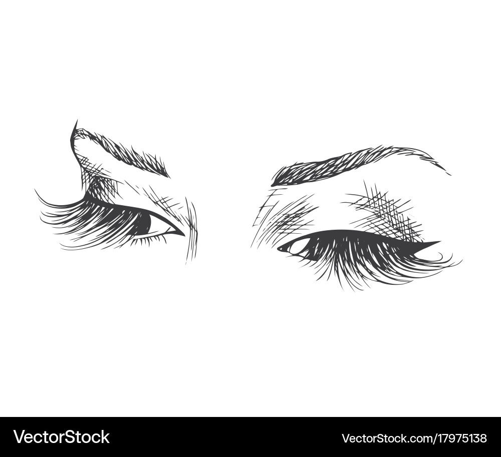 Close-Up of Long Eyelashes Vector Image