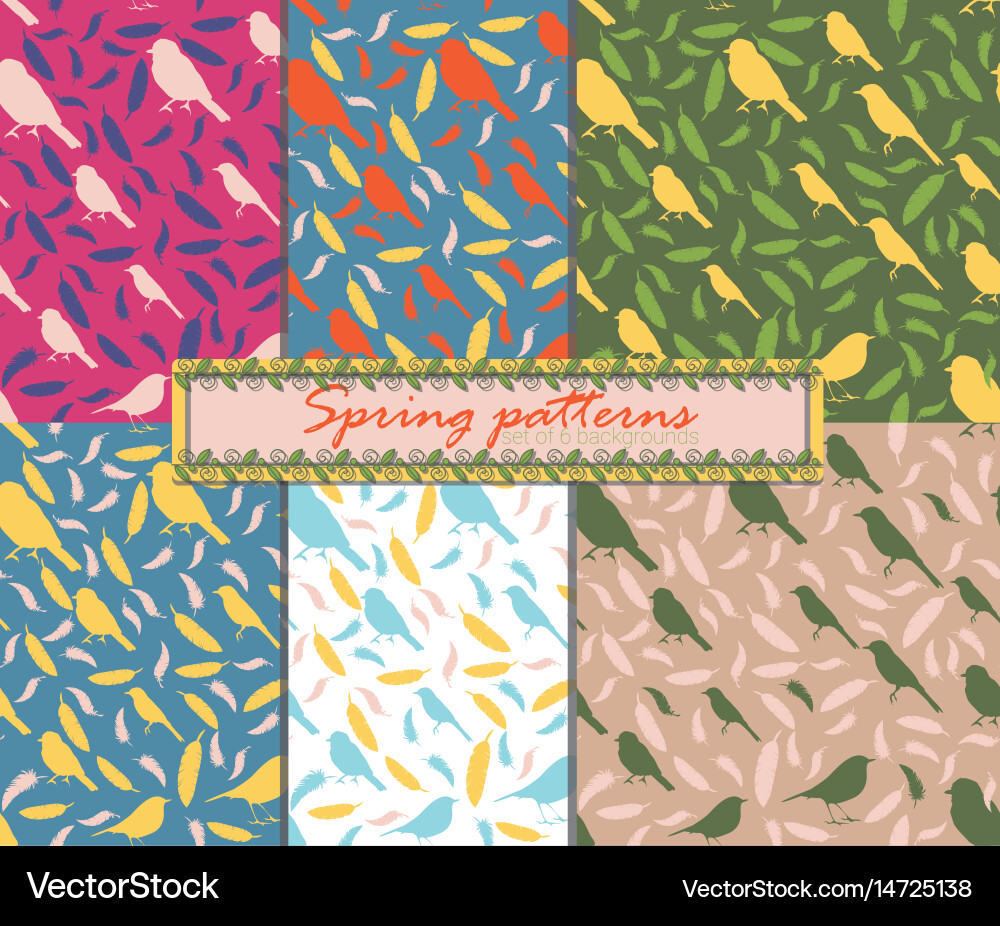 Set of 6 patterns with birds and feather vector image