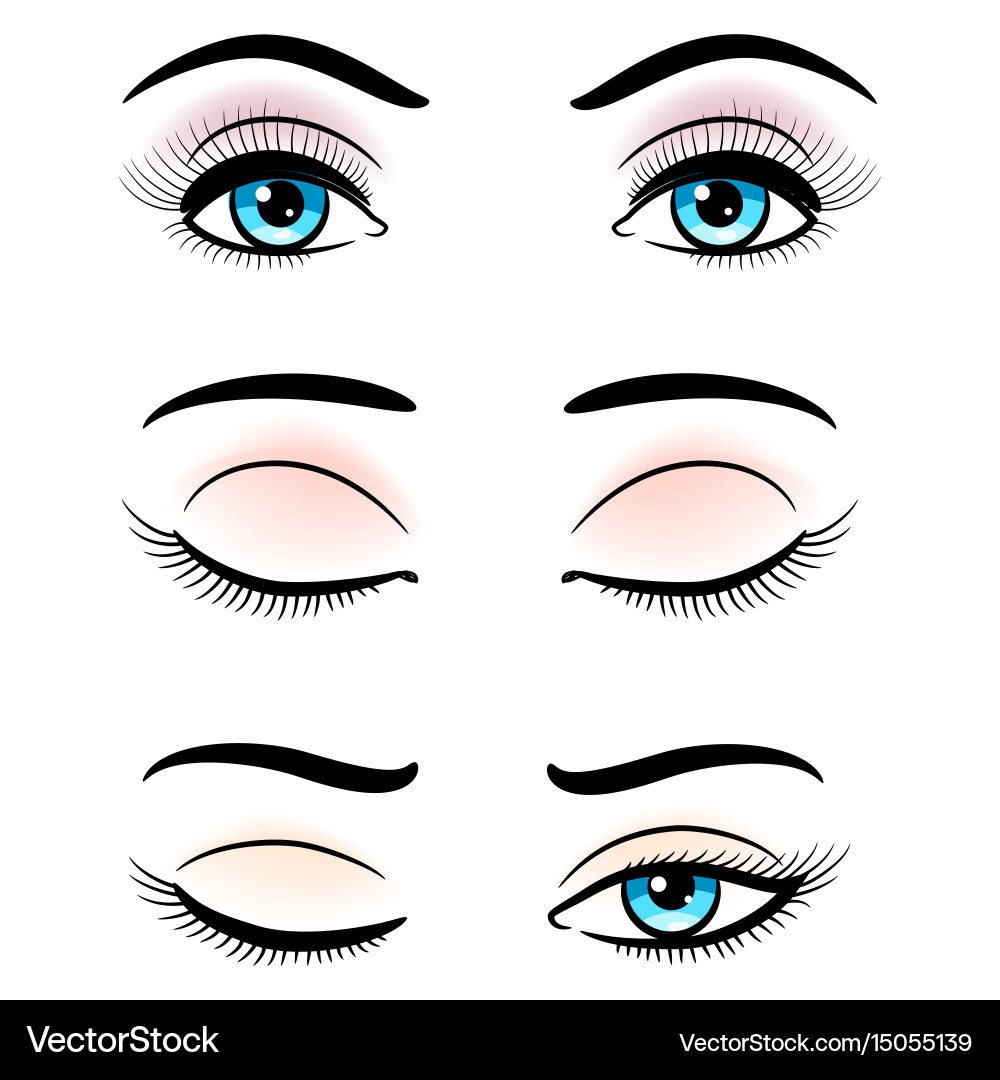 Blaue weibliche Augen - offen und geschlossen vektorbild