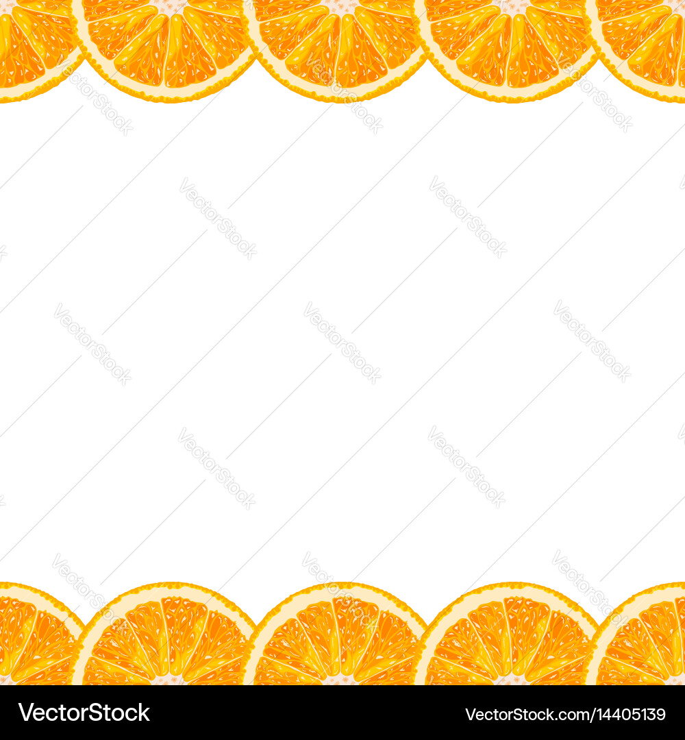 Orange Slice Border - Citrus Pattern vector image