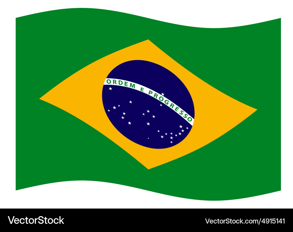 Brazil flag Vector Image