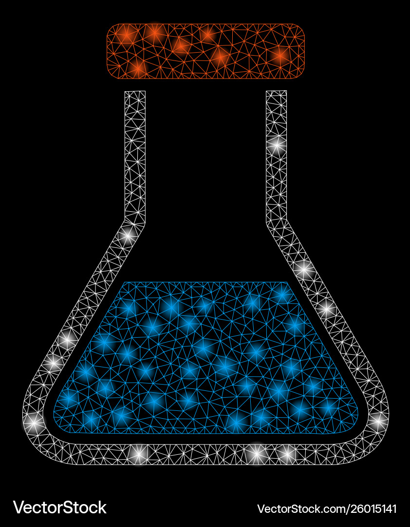 Glossy mesh network flask with light spots vector image