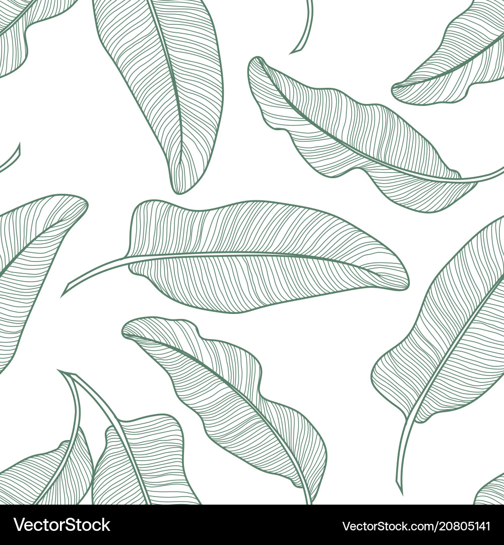 tropical-banana-leaf-pattern-royalty-free-vector-image