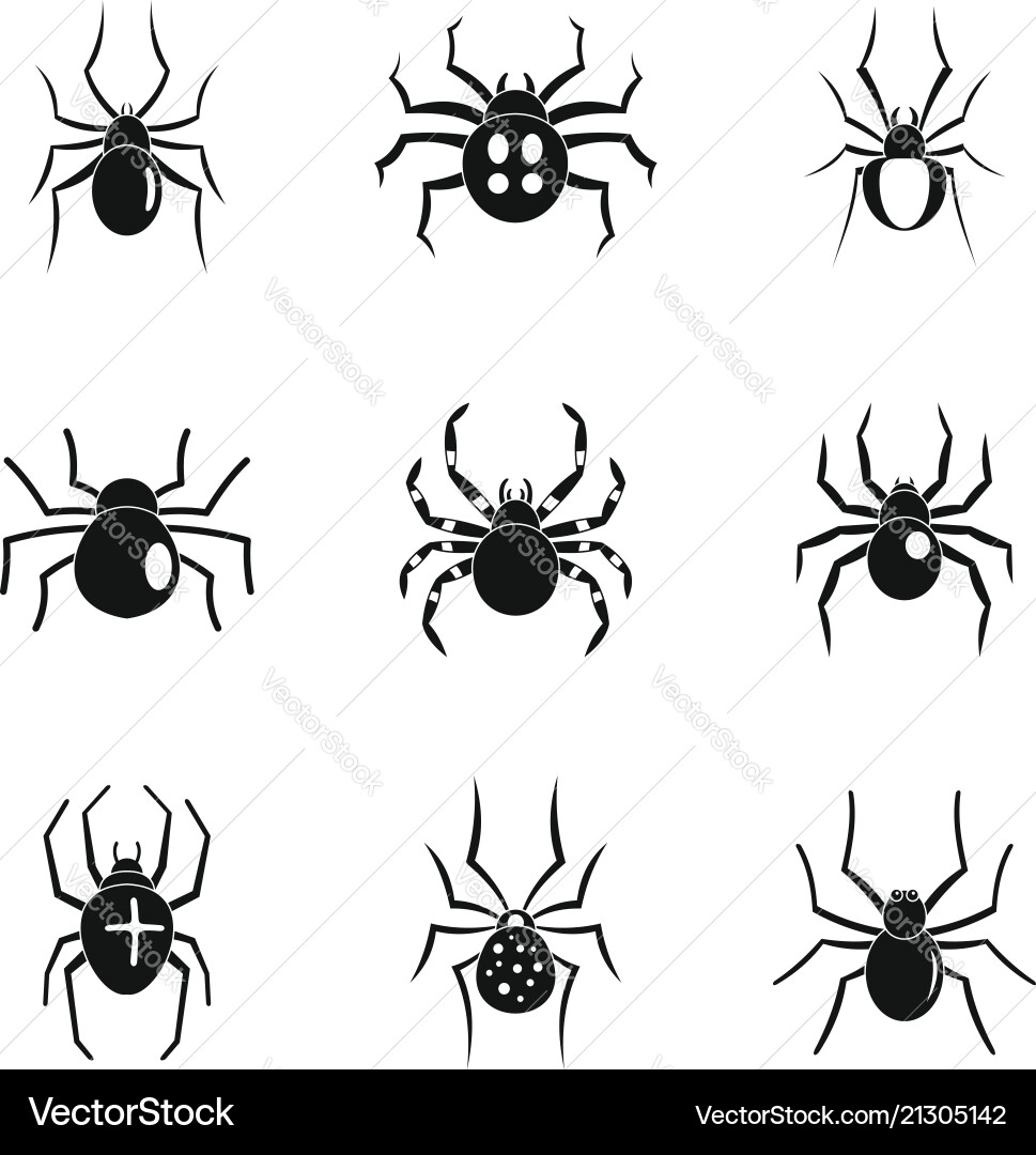 Spider bug caterpillar icons set simple style Spider bug caterpillar icons set simple style vector image
