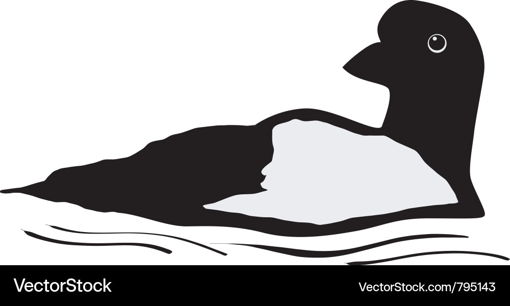 Lone Loon Silhouette vector image