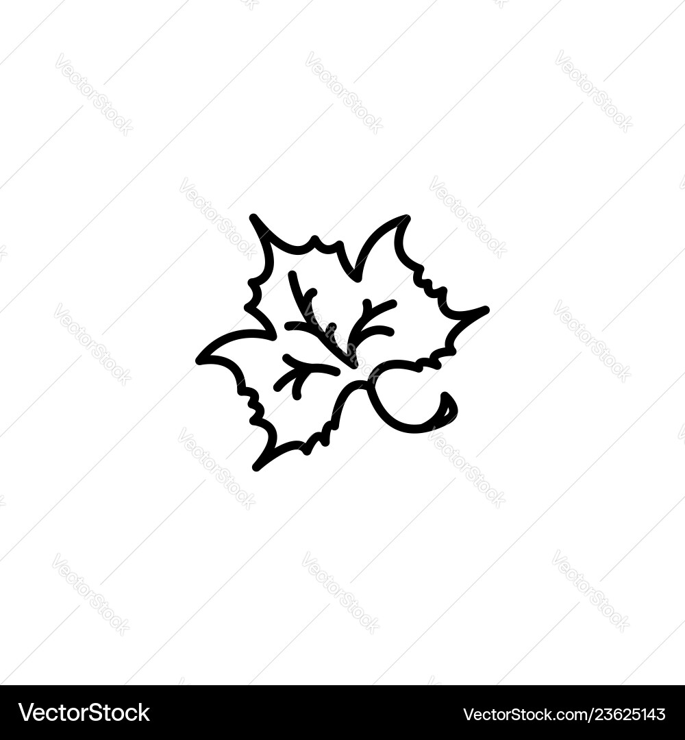 Web line icon maple leaf tree Vector Image