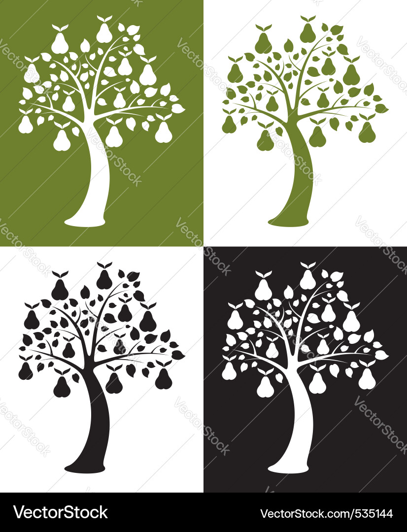 Elegant Pear Tree Collection Vector Image