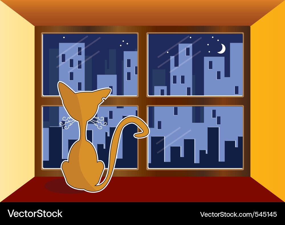 Cat in window Vector Image