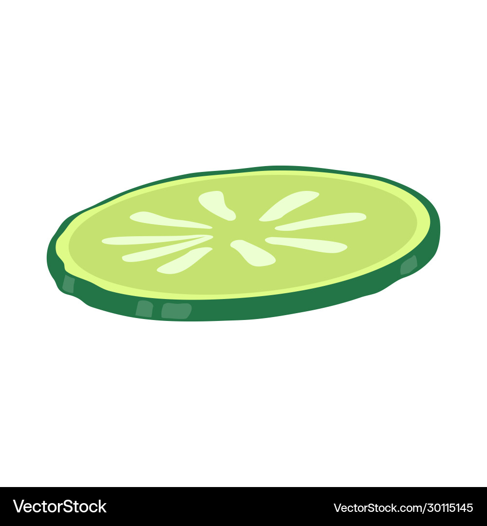 Cucumber and slice symbol Vector Image