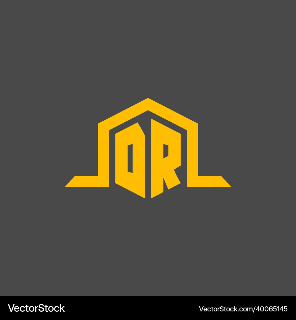 Dr monogram initial logo with hexagon style design Dr monogram initial logo with hexagon style design Vector Image