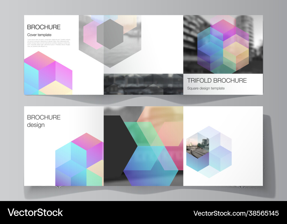 Layout square format covers design Layout square format covers design vector image