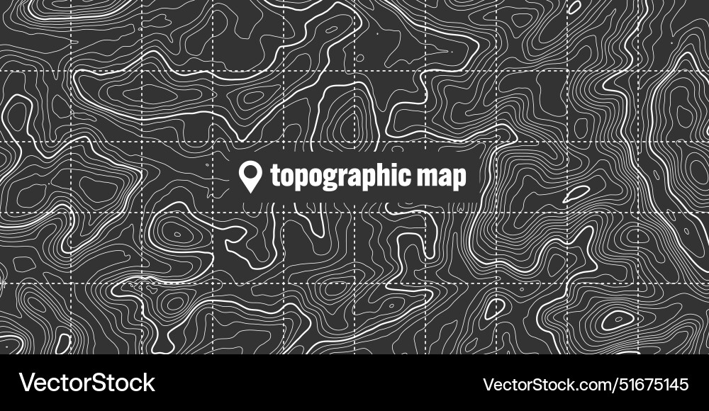 Topographic map with contour lines geographic Topographic map with contour lines geographic Vector Image