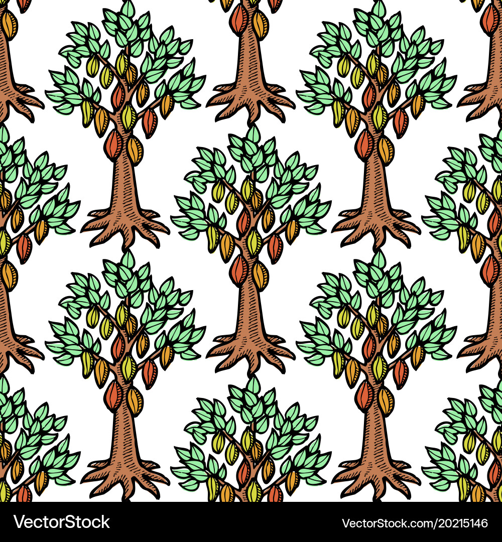 Cocoa Bean Tree Sketch Vector Image