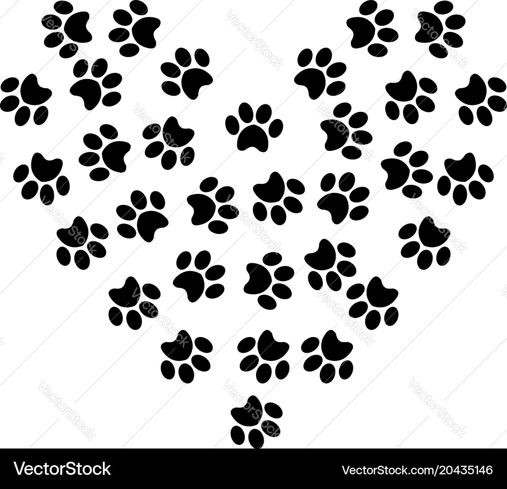 Pet Paw Heart Symbol Vector Image
