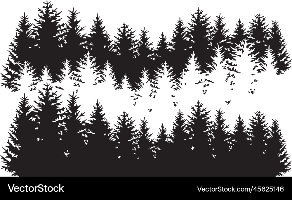 Pine Forest Landscape Silhouette Vector Image