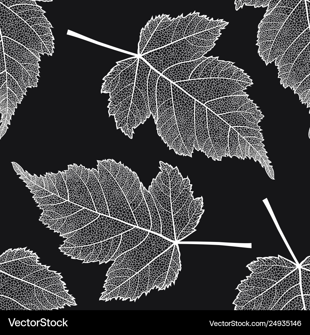 Seamless pattern with skeletonized leaves Vector Image