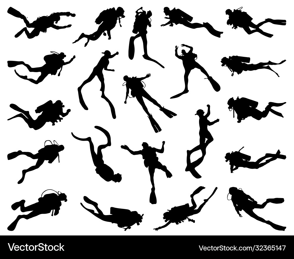 Divers Silhouettes Vector Image