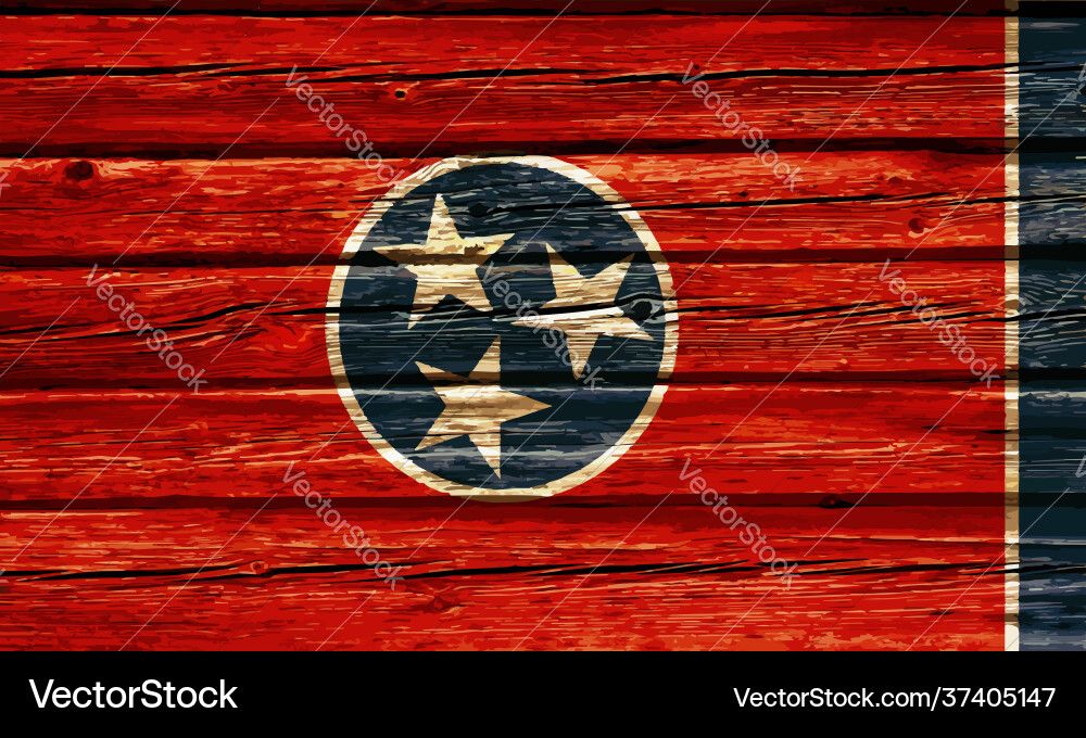 Tennessee State Flag on Rustic Wood Wall vector image