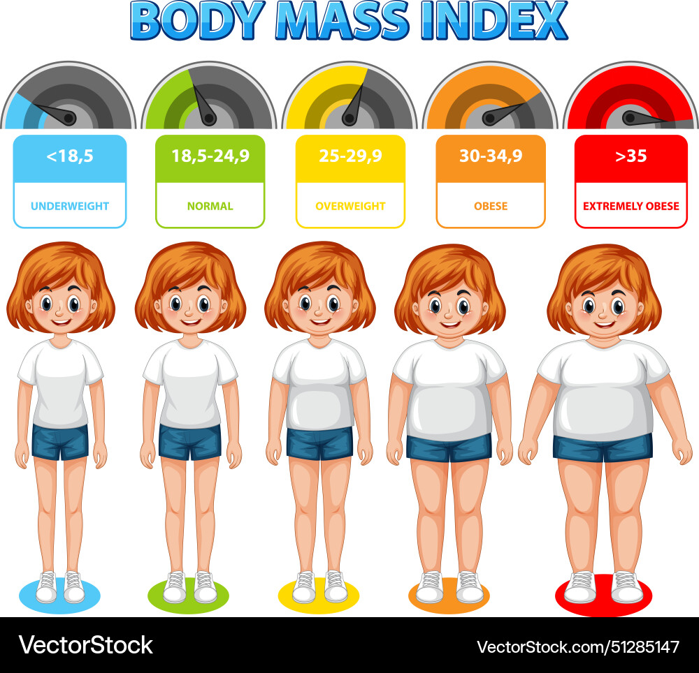 Visual representation of bmi categories and ranges Visual representation of bmi categories and ranges vector image