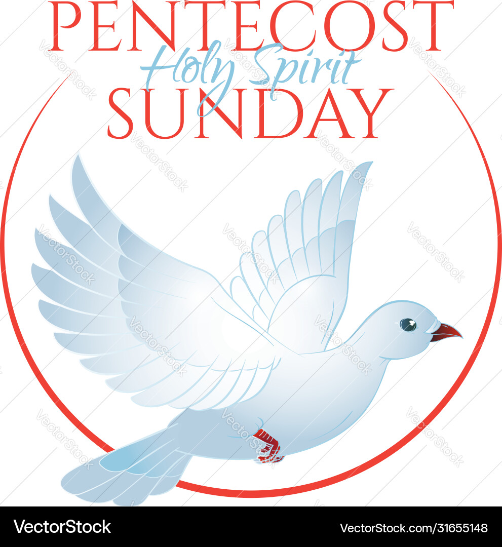 Pentecost sunday with holy spirit dove isolated vector image