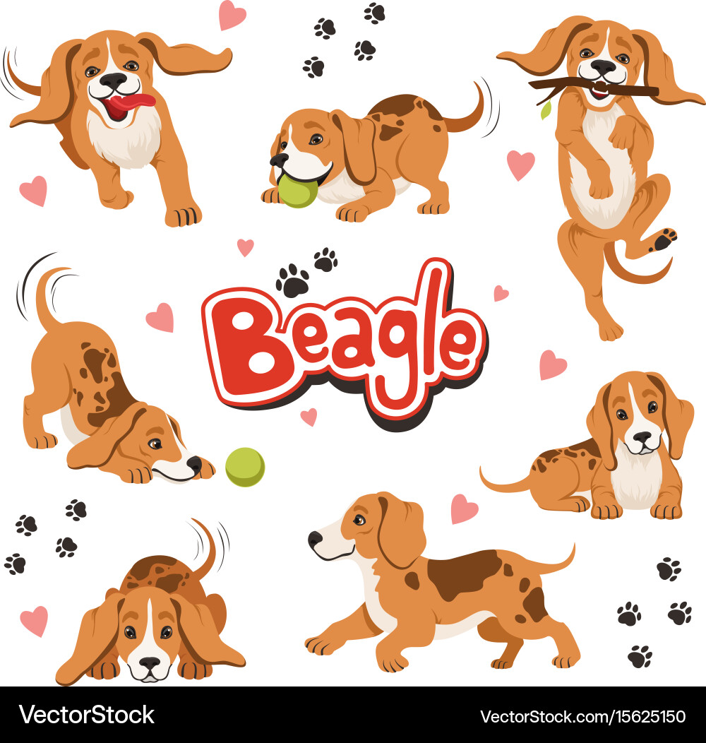 Playful Beagle Dog Collection – Royalty-Free Vector | VectorStock, image size:1000x1052