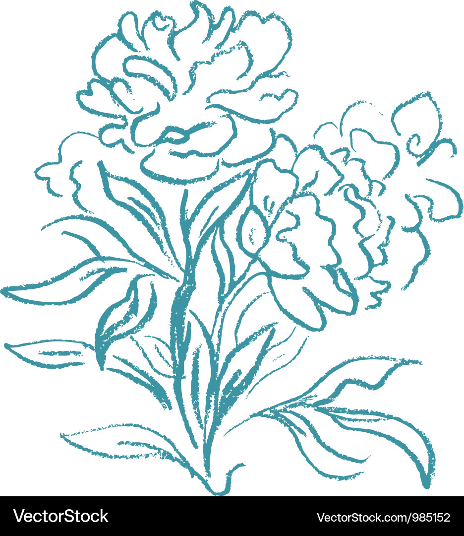 Elegant Peony Floral Sketch Vector Image