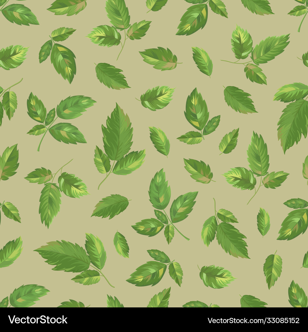 Raspberry leaves seamless pattern-02 Raspberry leaves seamless pattern-02 Vector Image