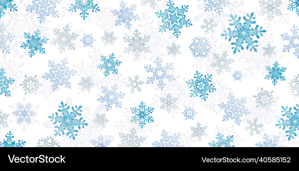 Snowflake pattern vector image