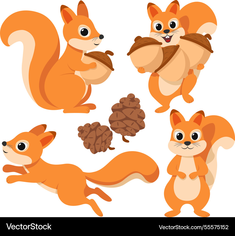 Squirrels in different poses squirrel character vector image