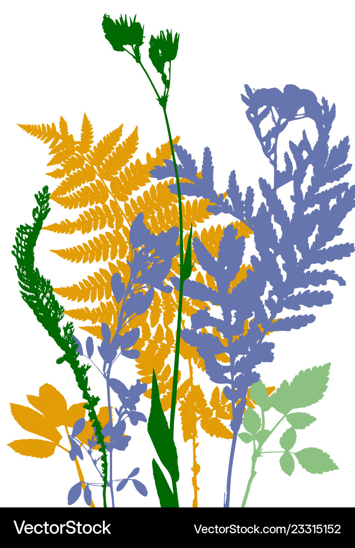 Template with leaves and plants silhouettes Vector Image