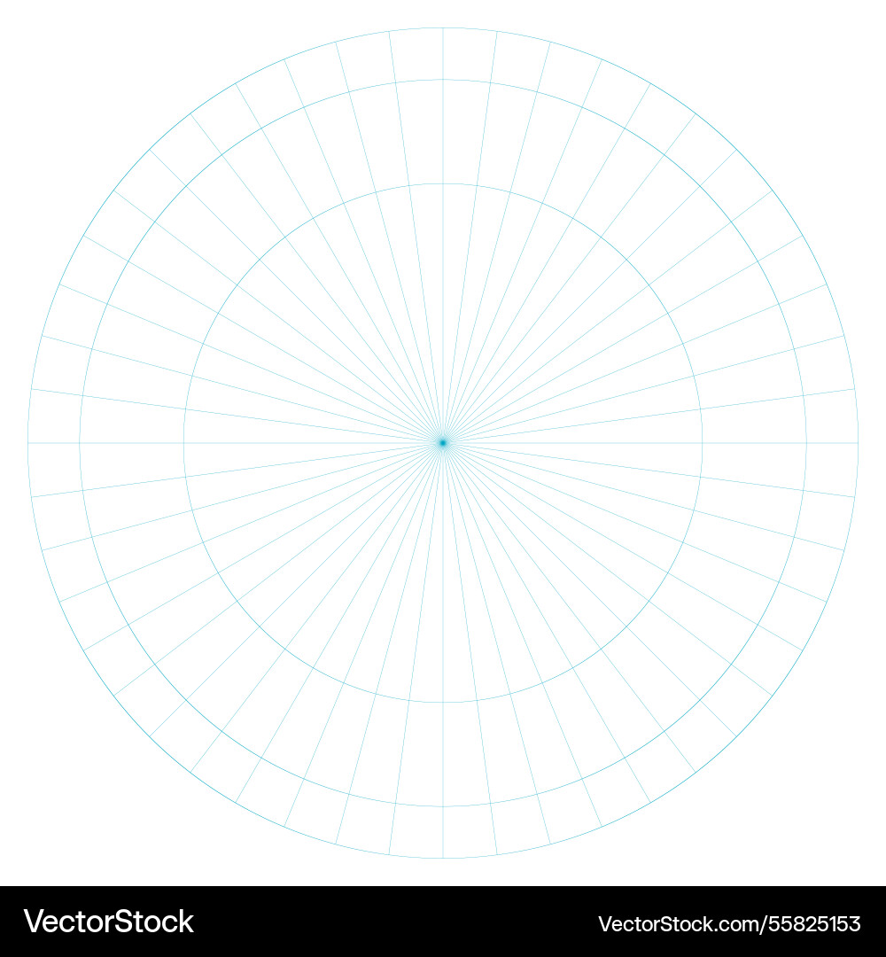 Polar coordinate circular grid isolated on white Polar coordinate circular grid isolated on white vector image