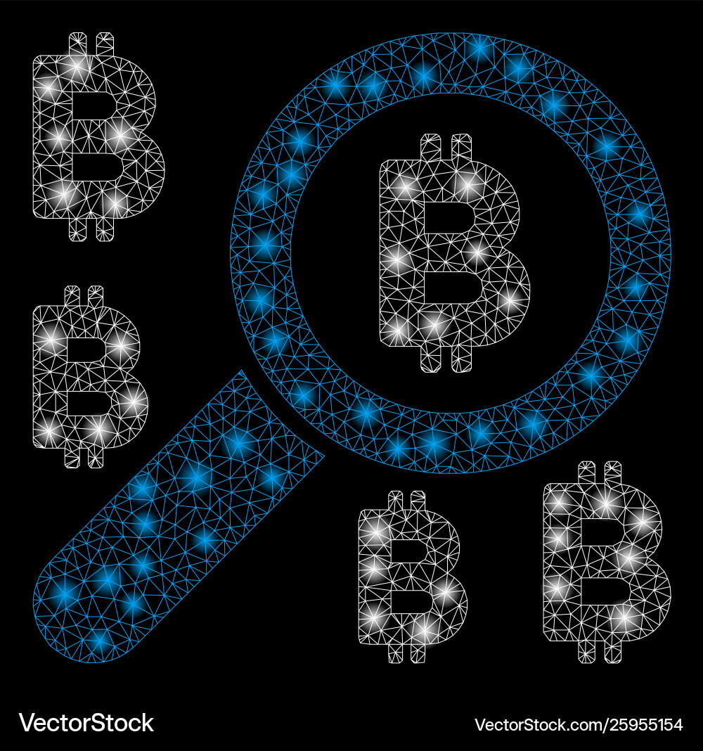 Glossy mesh network find bitcoin with flash spots vector image