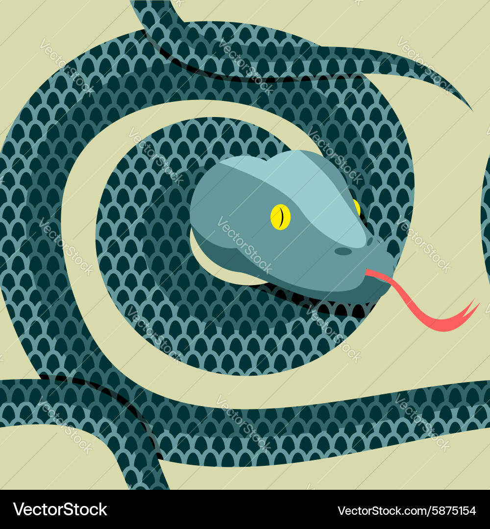 Snake seamless pattern longest reptile python vector image